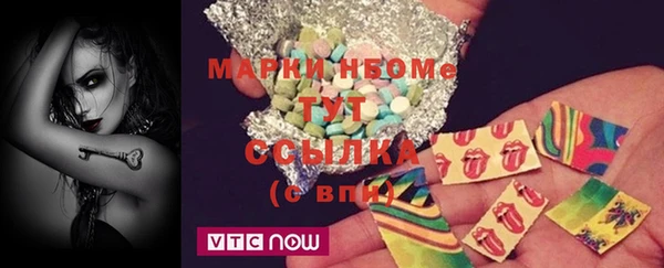 хмурый Новозыбков