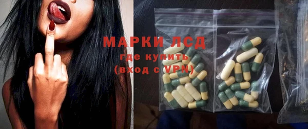 гидра Новодвинск