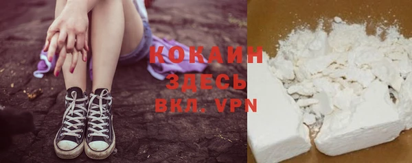 гидра Новодвинск