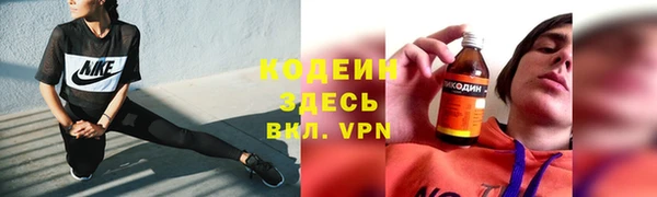 хмурый Новозыбков