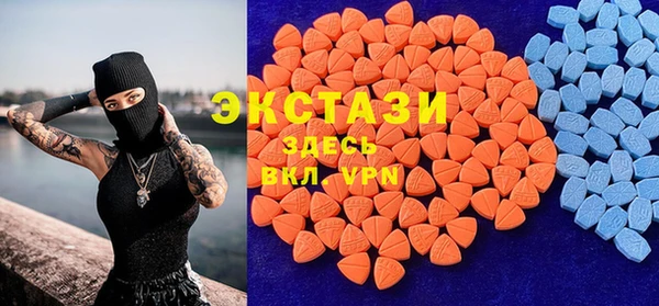гидра Новодвинск
