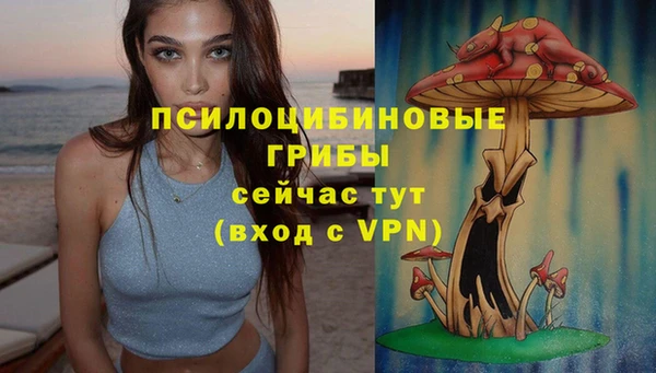 хмурый Новозыбков