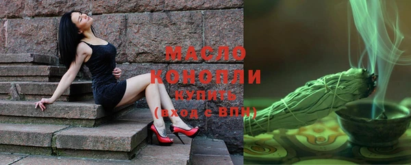 хмурый Новозыбков