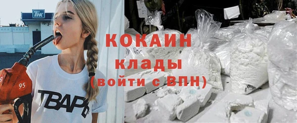 гидра Новодвинск