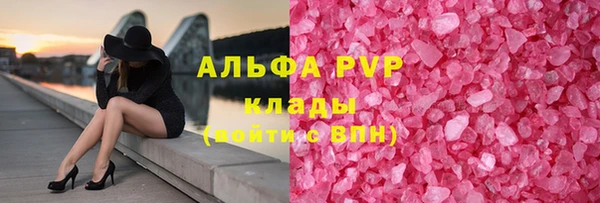 гидра Новодвинск