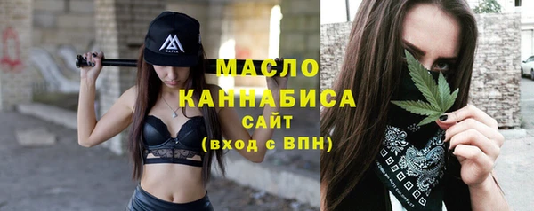 хмурый Новозыбков