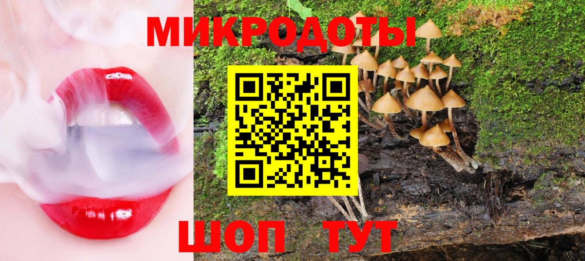 Галлюциногенные грибы MAGIC MUSHROOMS Партизанск