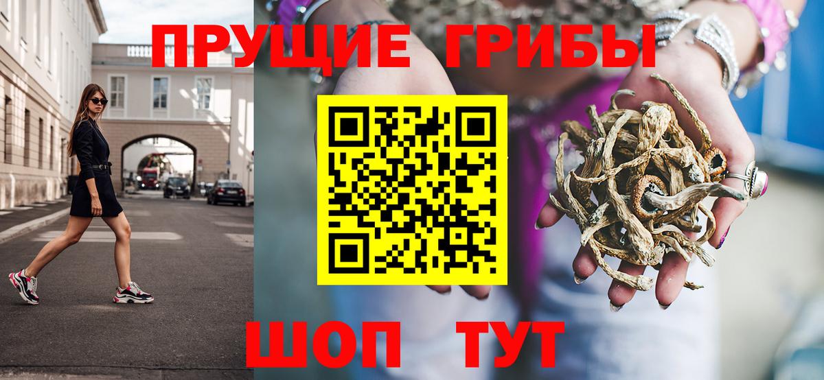 Галлюциногенные грибы Psilocybine cubensis  Вход с VPN  Партизанск 